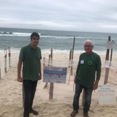 ninho de tartaruga na Barra