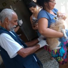 Técnico da Vigilância Sanitária e Controle de Zoonoses municipal aplica vacina contra raiva em cão na Ilha do Governador. Foto: divulgação