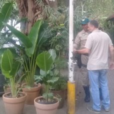 Xaxins ameaçados de extinção eram vendidos em quiosque em Ipanema. Foto: divulgação GM