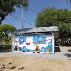 A nova Unidade de Saúde Médica Veterinária, para atendimento gratuito de cães e gatos, em Bangu