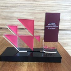 Troféu de reconhecimento como líder global em ações e transparência climática ganho pela Prefeitura do Rio. Foto: Divulgação