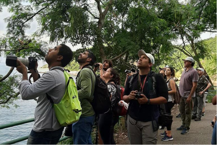 Visitantes observam aves na trilha da Urca, um dos pontos do Passarinhar Carioca. Foto: divulgação