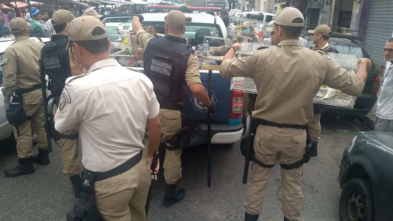 Guardas apreendem animais em feira da Zona Oeste