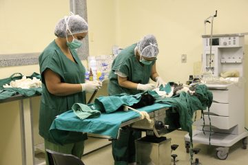 Prefeitura do Rio faz cirurgias de castração de cães e gatos gratuitas. Foto: Mariana Ramos / Prefeitura do Rio