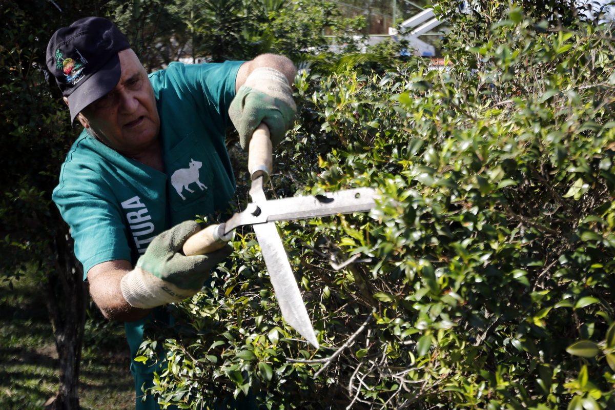 Funcionário da conservação apara os arbustos da Praça Restier Gonçalves: o Cuidar da Cidade em ação no Recreio. Foto: Marcos de Paula / Prefeitura do Rio
