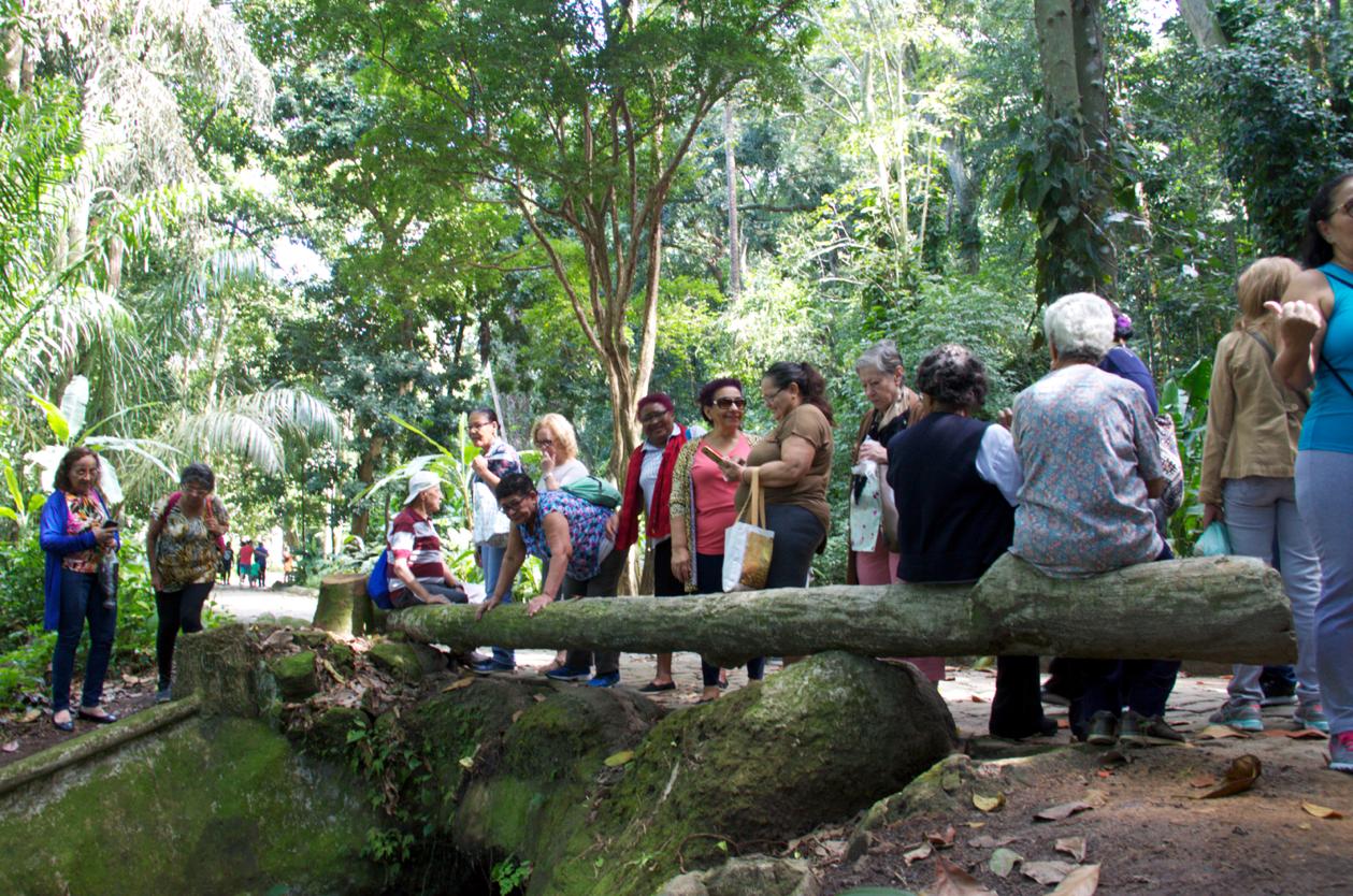 Idosos de Casa de Convivência em São Conrado visitam o Parque Lage. Muitos nunca tinham estado no lugar. Foto: Débora Reis / divulgação