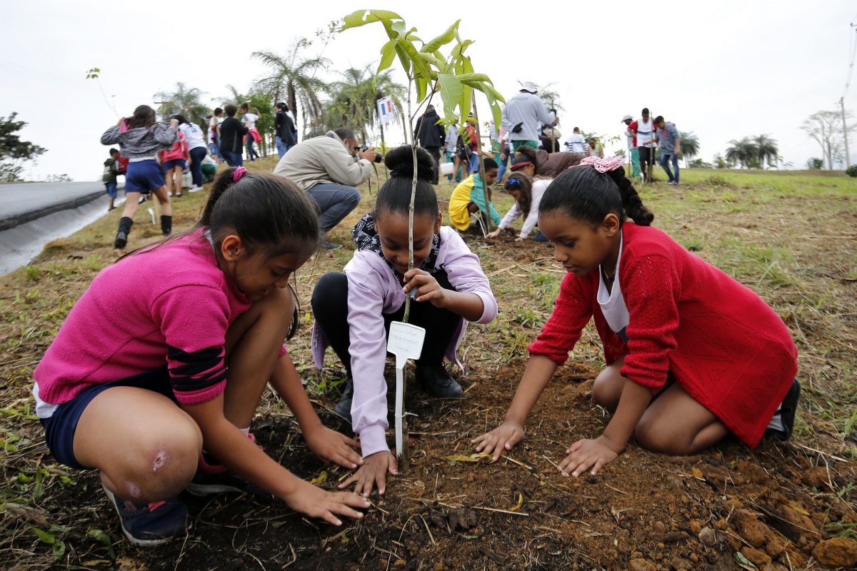 Estudantes da rede municipal do Rio ajudam a plantar. mudas na Floresta dos Atletas. Foto: Marcos de Paula/Prefeitura do Rio