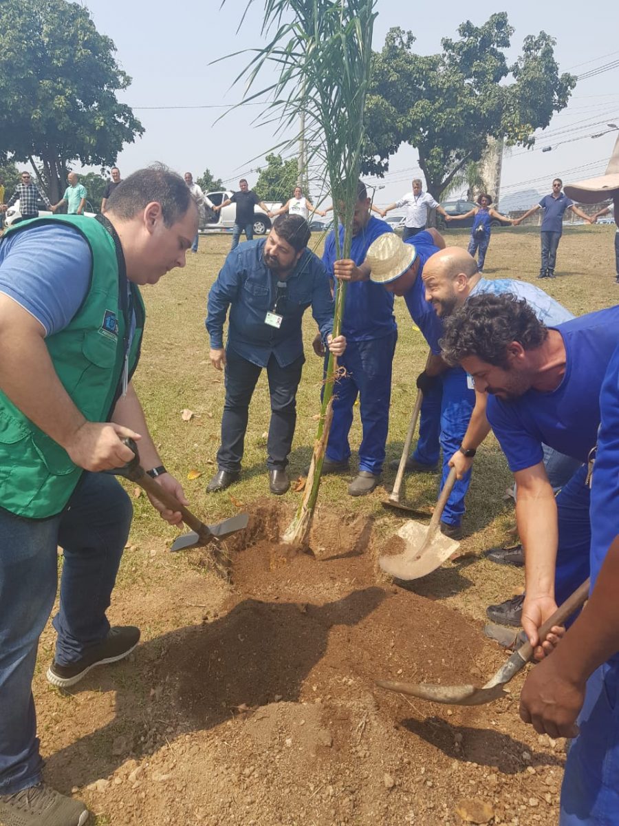 Plantio da primeira muda do projeto Via Verde, na Zona Norte. Foto: Divulgação