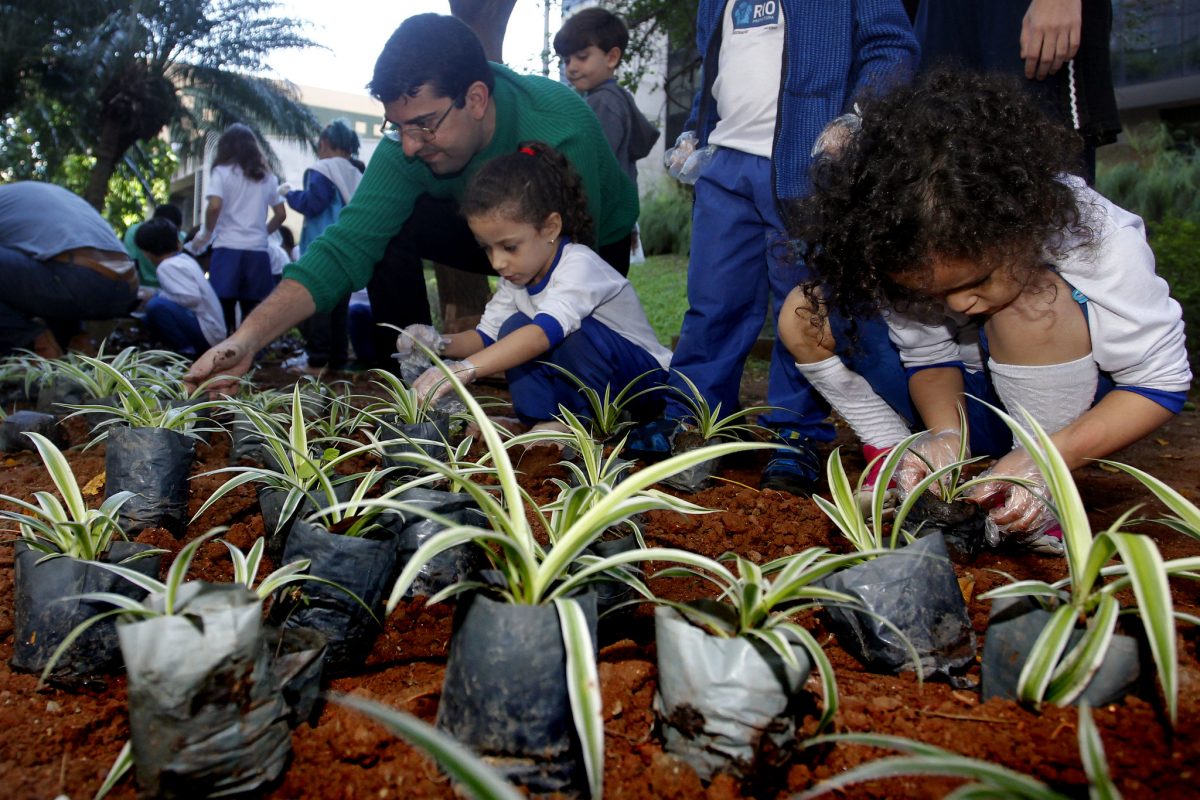 Alunos da creche municipal Dr. Paulo Niemeyer fazem plantio de mudas. Foto: Marcelo Piu / Prefeitura do Rio