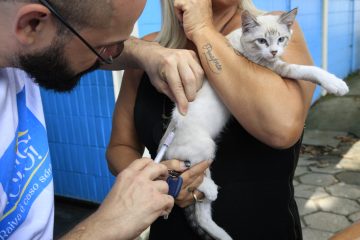 Equipe da Vigilância Sanitária aplica vacina antirrábica em gato. Foto: divulgação / Prefeitura do Rio