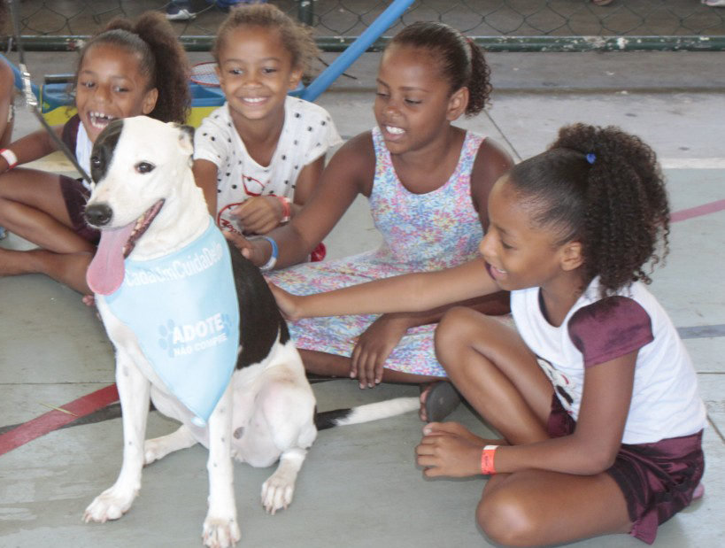 Prefeitura do Rio inicia projeto educacional sobre maus-tratos e abandono animal nas escolas