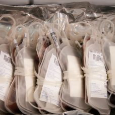 Campanha de doação de sangue