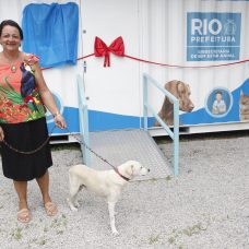 Moradora de Campo Grande, Valéria Nunes da Cunha levou o cãozinho Joe para ser tratado