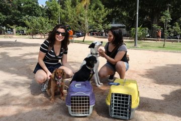 Bruna Peixoto (à direita) e sua amiga Luiza Annarumma chiparam três cães e dois gatos. Foto: Nelson Duarte \ Vigilância Sanitária