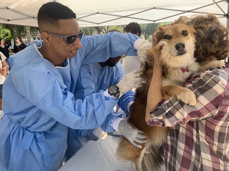 O processo de chipagem é rápido e indolor para o animalzinho. Foto: Nelson Duarte \ Vigilância Sanitária
