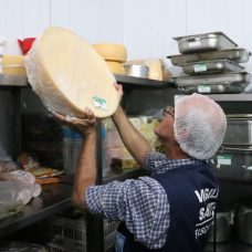 Operação Verão da Vigilância Sanitária