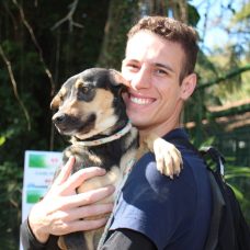 Subem recebe voluntários que queiram dar amor aos animais da Fazenda Modelo. Foto: divulgação / Subem