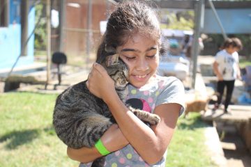 Subem recebe voluntários que queiram dar amor aos animais da Fazenda Modelo. Foto: divulgação / Subem