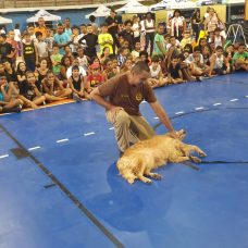 Caravana Carioca de Férias agita Campo Grande com atividades para crianças e responsáveis