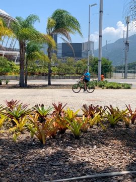 Ciclista passeia no Parque Olímpico da Barra, nesta terça. Foto? Roberta Pinto / Prefeitura do Rio