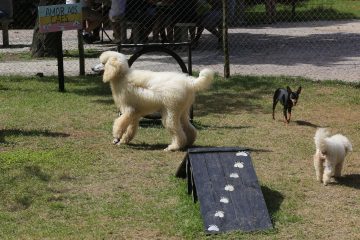 Teresa, Julie e Pantufa se divertem no Parcão. Foto: Marcos de Paula / Prefeitura do Rio