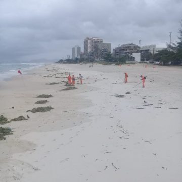 Garis da Comlurb retiram gigogas da areia da praia. Foto: divulgação