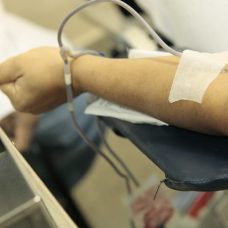 doação sangue