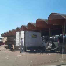 Área externa da Ceasa, onde houve denúncia de manipulação indevida de máscaras para venda. Foto: divulgação / Vigilância Sanitária