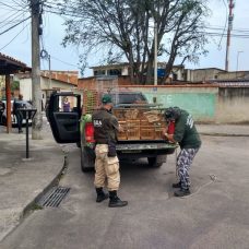 Operação contou com o apoio da Delegacia de Proteção ao Meio Ambiente