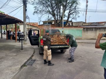 Operação contou com o apoio da Delegacia de Proteção ao Meio Ambiente