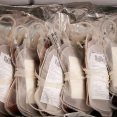 Bolsas de sangue campanha de doação