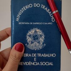 carteira de trabalho emprego - Divulgação / Prefeitura do Rio