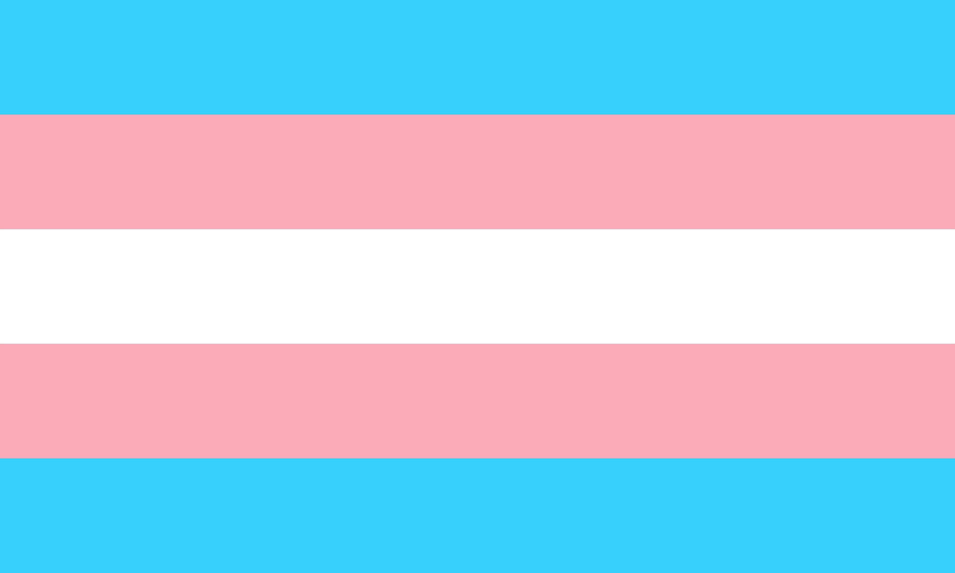 bandeira trans