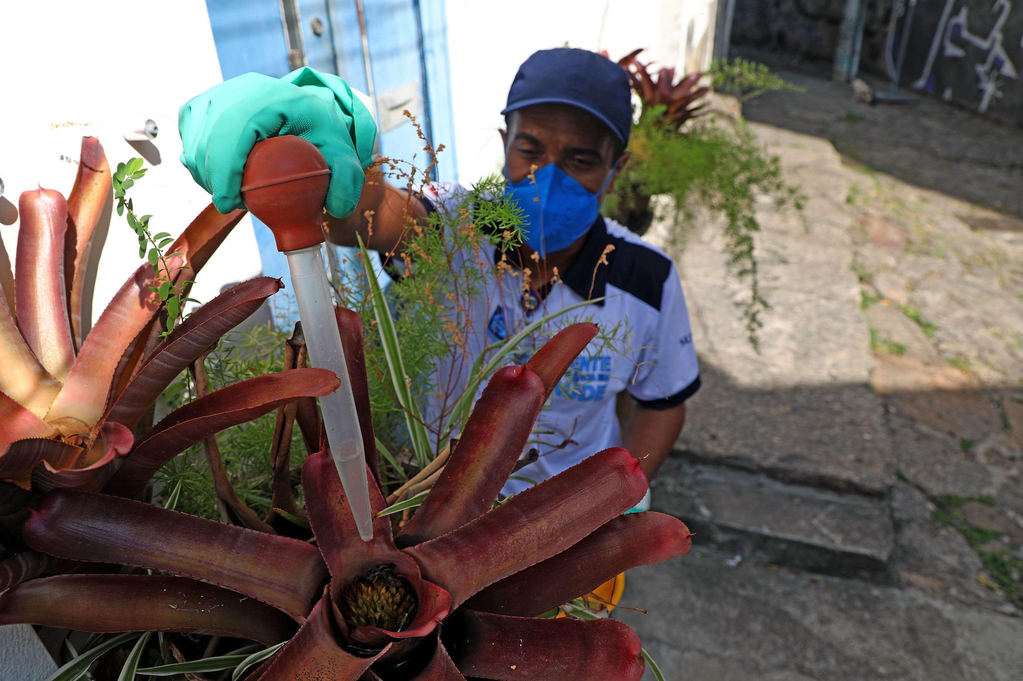 Sopesp - OGMOSA realiza ação de combate ao Aedes Aegypti no Porto