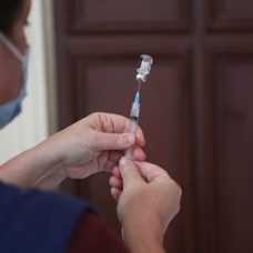 Vacina, vacinação, Covid, gripe