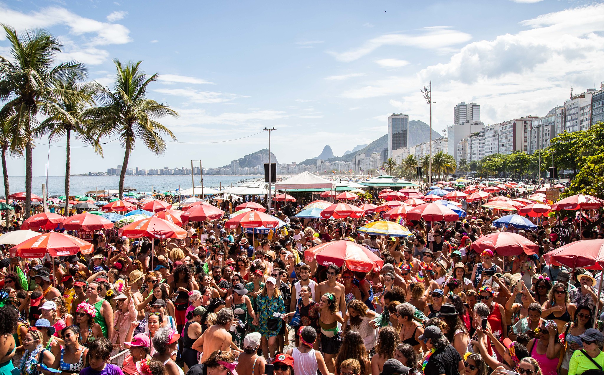 Carnaval de rua 2024: Riotur divulga edital com as regras da folia para o  próximo ano - Prefeitura da Cidade do Rio de Janeiro 