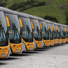 Amarelinhos, BRT, frota